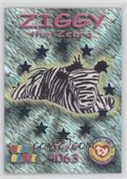 Wild Cards - Ziggy the Zebra