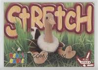 Stretch the Ostrich