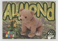 Almond the Bear