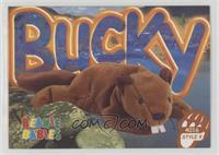 Bucky the Beaver
