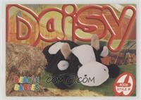 Daisy the Cow