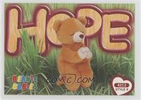 Hope the Praying Bear