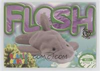 Flash the Dolphin