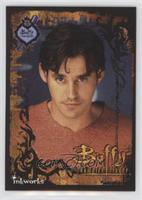 Xander Harris