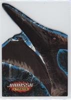 Pteranodon [EX to NM]