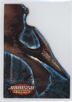 Pteranodon [EX to NM]