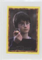 Harry Potter with the Snitch