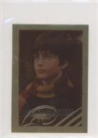 Harry Potter portrait (Gold Foil)