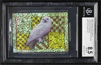 Harry - Hedwig (Sparkle Foil) [BGS 8.5 NM‑MT+]