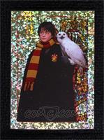 Harry Potter & Hedwig (Sparkle Foil)
