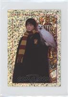 Harry Potter & Hedwig (Sparkle Foil)