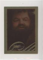 Hagrid portrait (Gold Foil) [EX to NM]