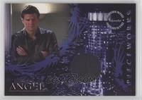 David Boreanaz as Angel