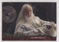 Gandalf Returns!