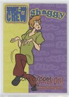 Scooby-Doo Crew - Shaggy