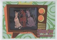 Scooby-Doo Series - The Scooby-Doo Dynonutt Show