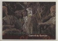 Captured by Treebeard