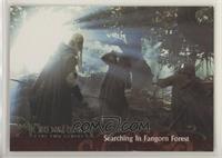 Searching in Fangorn Forest