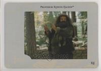 Professor Rubeus Hagrid