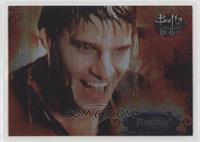 Buffy Back - Angelus