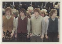 The Return of the King - Heroes of the Shire