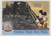 Debut Attractions - Rainbow Ridge Pack Mules