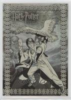 Harry Potter, With Hedwig