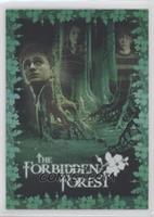 Harry, Hermione, Ron in the Forbidden Forest