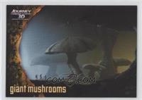 Giant Mushrooms
