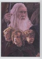 Gandalf and Hobbits