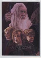 Gandalf and Hobbits