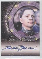 Joshua Malina as Cicero