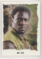 Adewale Akinnuoye-Agbaje as Mr. Eko