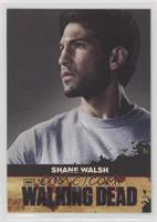 Shane Walsh