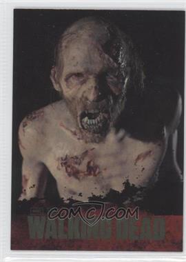 2011 Cryptozoic The Walking Dead Season 1 - Walkers Gold Foil #W07 - Secluded