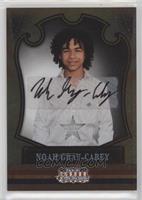 Noah Gray-Cabey #/249