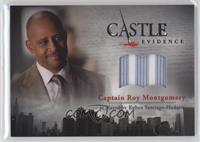 Ruben Santiago-Hudson as Captain Roy Montgomery