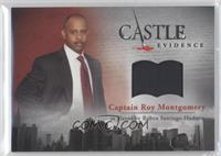 Ruben Santiago-Hudson as Captain Roy Montgomery