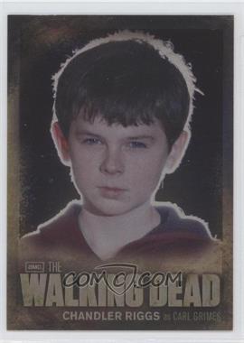 2012 Cryptozoic The Walking Dead Season 2 - Character Bio #CB04 - Chandler Riggs as Carl Grimes
