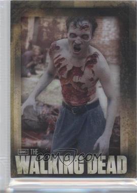 2012 Cryptozoic The Walking Dead Season 2 - Walker Shadowbox #SB02 - Walker