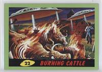 Burning Cattle