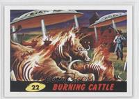 Burning Cattle