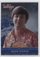 Brian Wilson