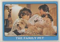 1971 Partridge Family