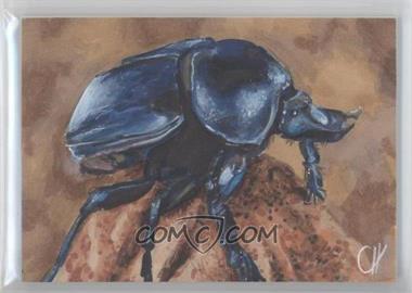 2013 Viceroy Insectae - Sketch #_CHHE - Chris Henderson (Rhinoceros Beetle) /1