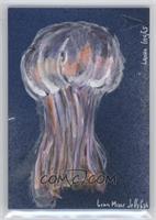 Laura Inglis (Lion Mane Jellyfish) #/1
