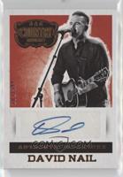 David Nail [EX to NM] #/344