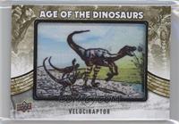 Extinct (Predator) - Velociraptor