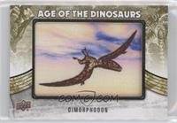 Extinct (Air/Sea) - Dimorphodon