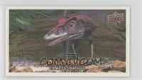 Compsognathus